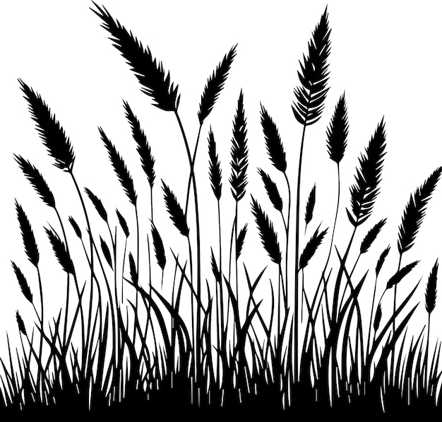 Ilustración de la silueta vectorial de la hierba 2