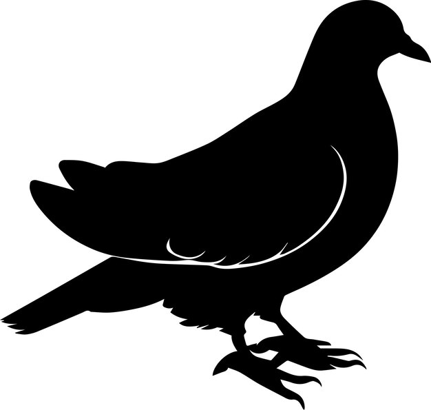 Ilustración de la silueta vectorial del pájaro paloma