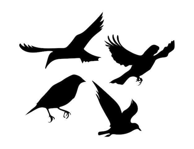 Vector ilustración de siluetas de animales de aves