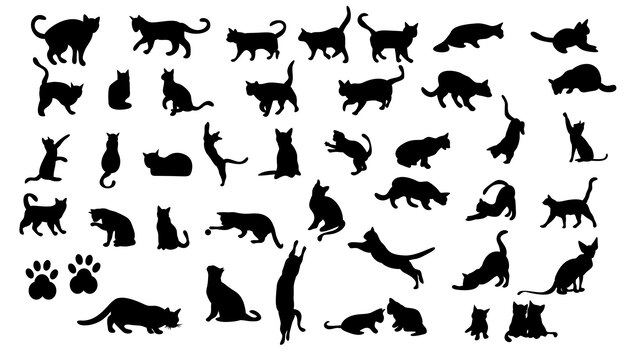 Ilustración de siluetas de gatos conjunto de clipart de elementos