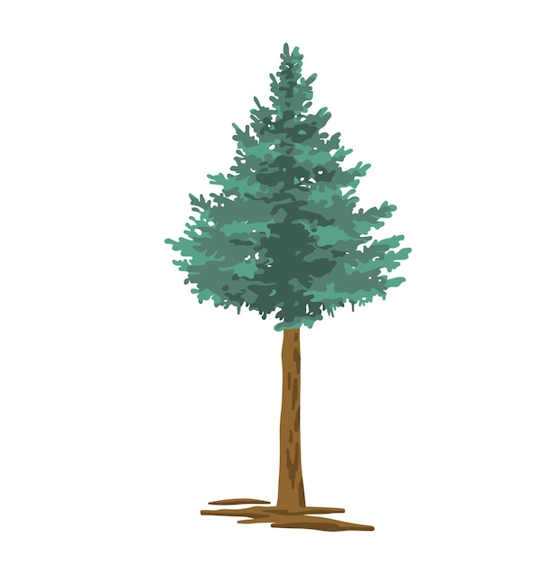 Ilustración simple en color de un árbol de pino o abeto