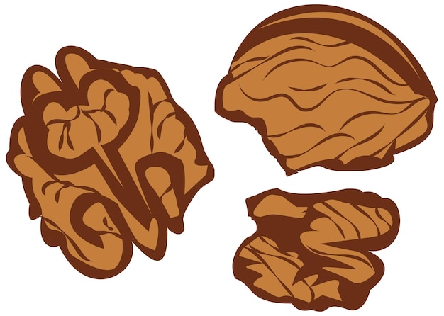 Ilustración simple del conjunto de nueces