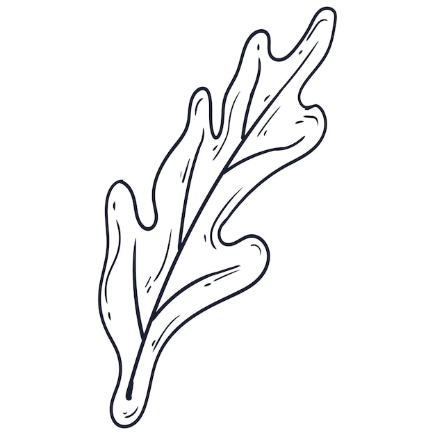Ilustración simple de contorno de flor dibujada a mano aislada sobre un fondo blanco