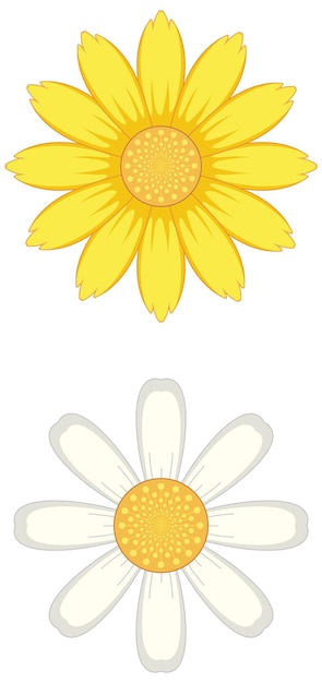 Ilustración simple de la flor de margarita blanca y amarilla