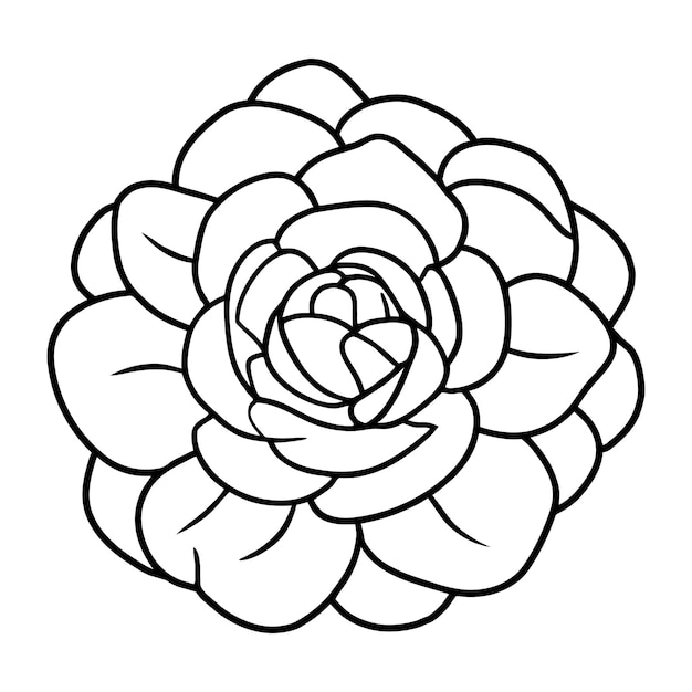 Ilustración simple de flores dibujada a mano