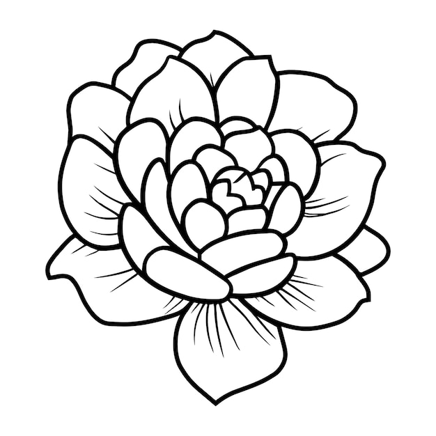 Ilustración simple de flores dibujada a mano