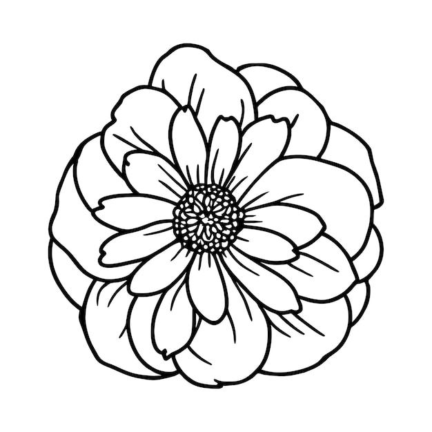 Ilustración simple de flores dibujada a mano