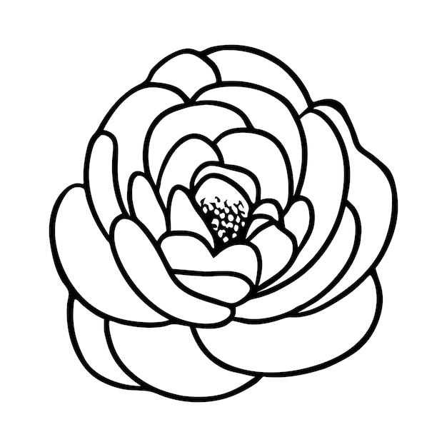 Ilustración simple de flores dibujada a mano