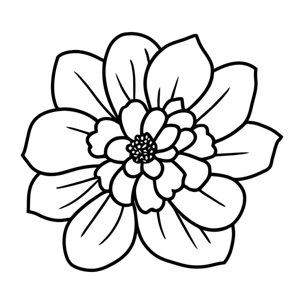 Ilustración simple de flores dibujada a mano