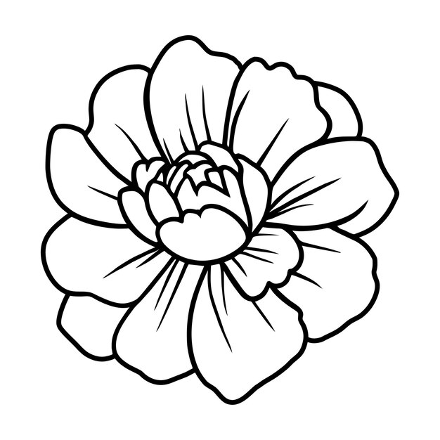 Ilustración simple de flores dibujada a mano
