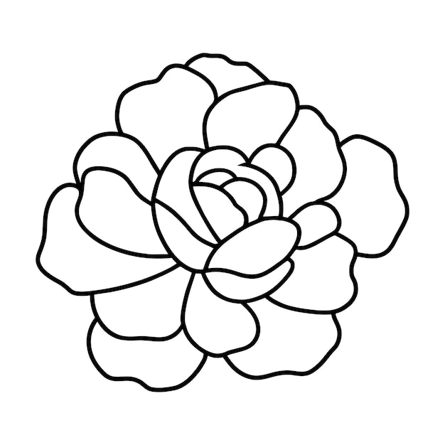 Ilustración simple de flores dibujada a mano