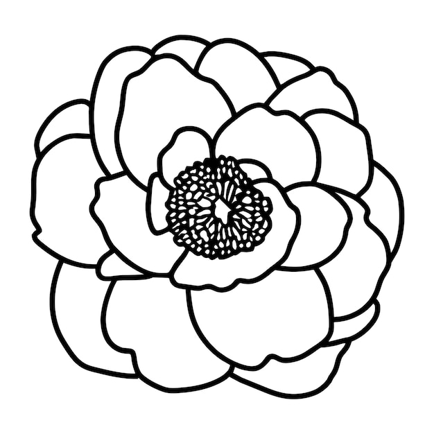 Ilustración simple de flores dibujada a mano
