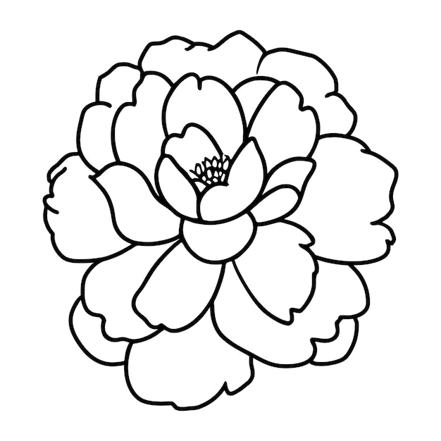 Ilustración simple de flores dibujada a mano