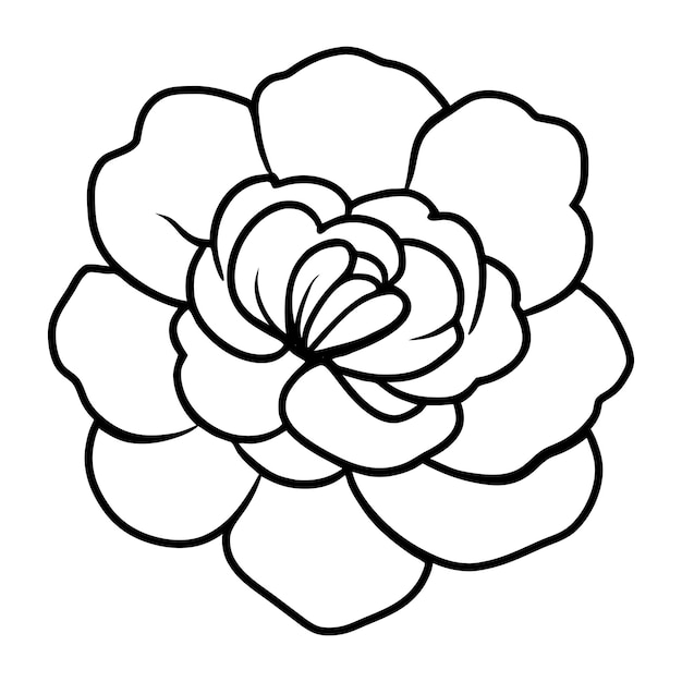 Ilustración simple de flores dibujada a mano