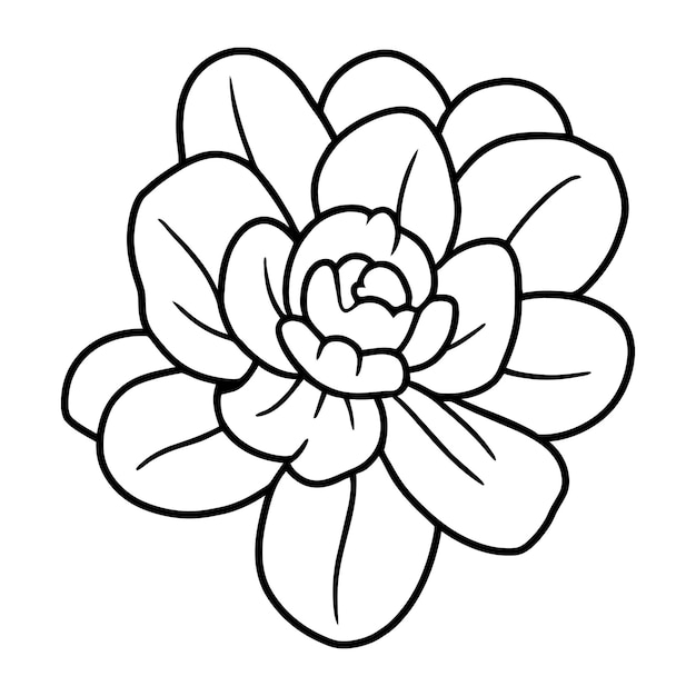 Ilustración simple de flores dibujada a mano