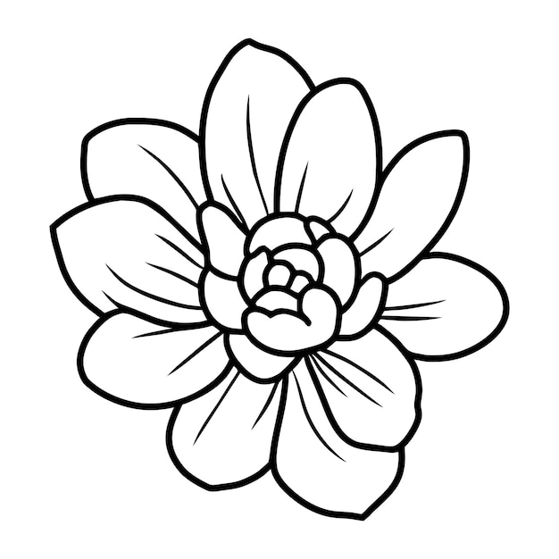 Vector ilustración simple de flores dibujada a mano