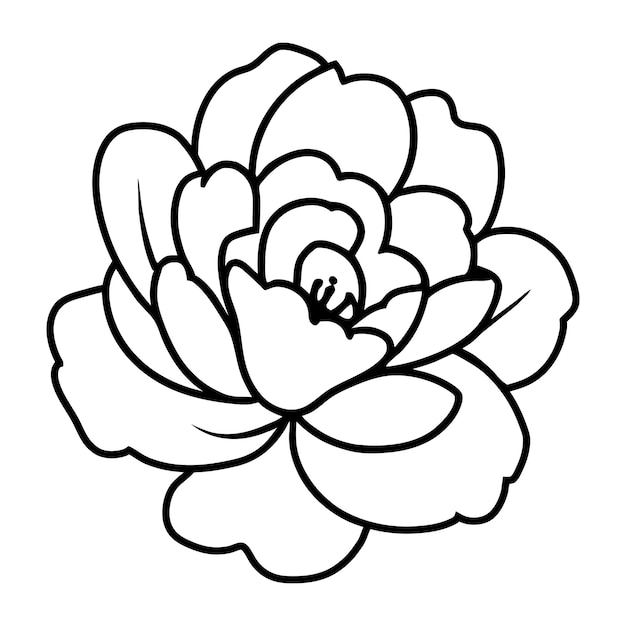Ilustración simple de flores dibujada a mano