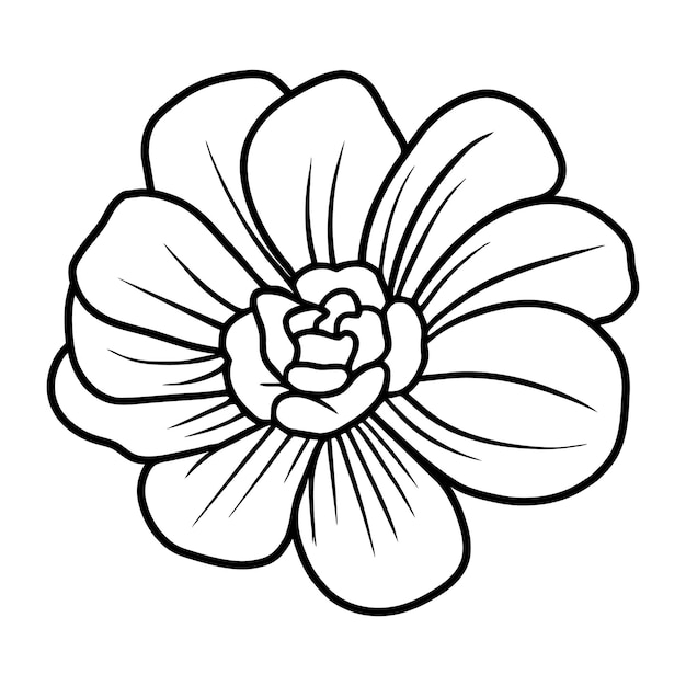 Ilustración simple de flores dibujada a mano