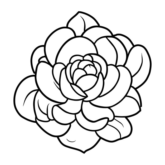 Ilustración simple de flores dibujada a mano