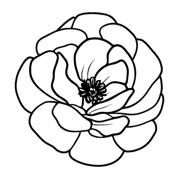 Ilustración simple de flores dibujada a mano