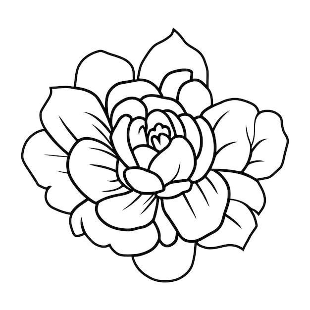 Ilustración simple de flores dibujada a mano