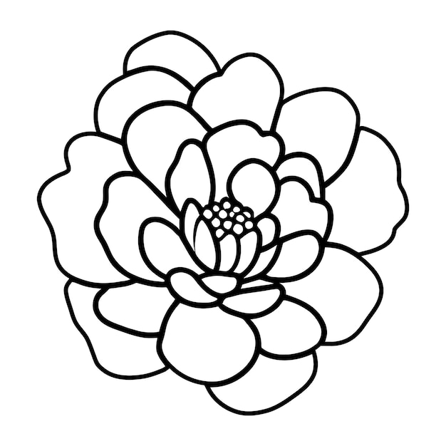 Ilustración simple de flores dibujada a mano