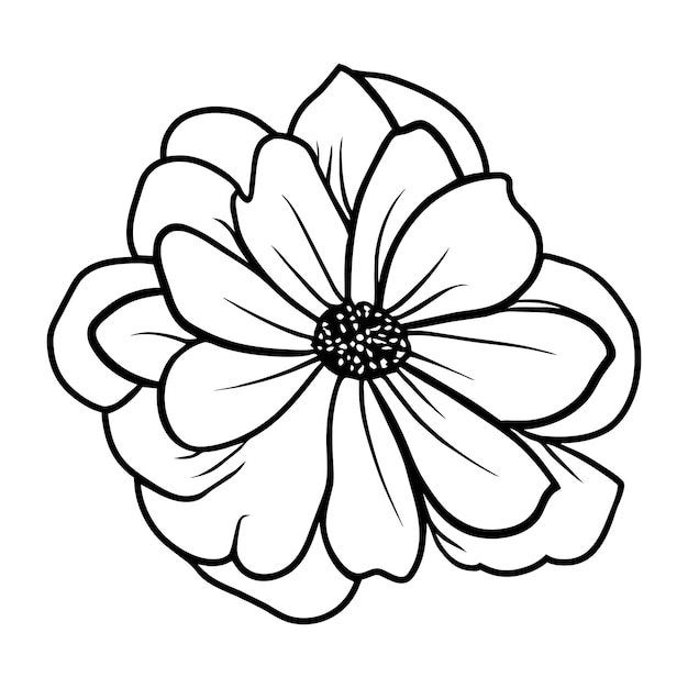 Ilustración simple de flores dibujada a mano