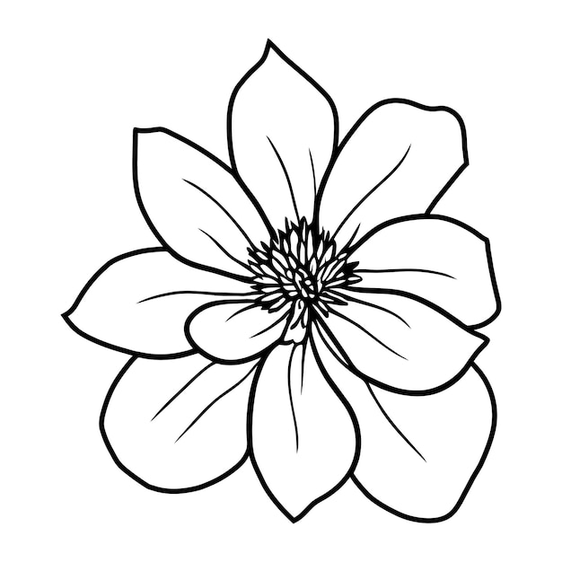 Vector ilustración simple de flores dibujada a mano