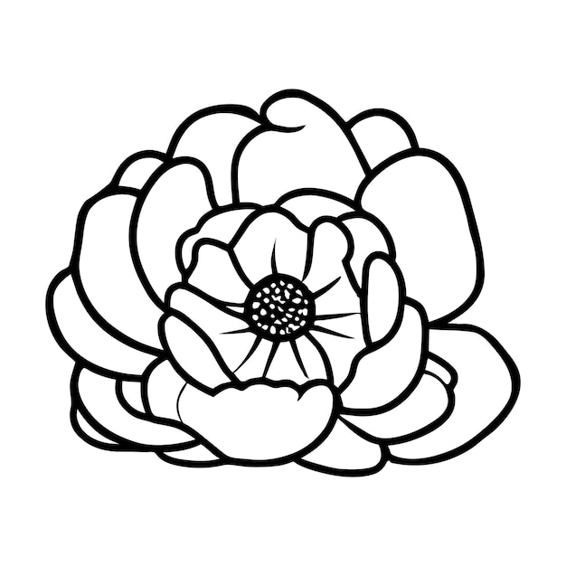 Ilustración simple de flores dibujada a mano