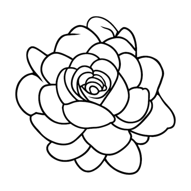 Ilustración simple de flores dibujada a mano
