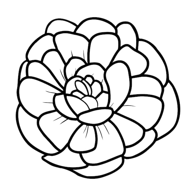 Ilustración simple de flores dibujada a mano