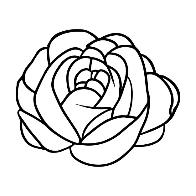Ilustración simple de flores dibujada a mano