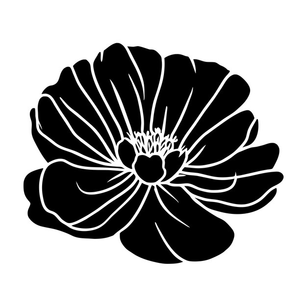 Ilustración simple de flores dibujada a mano