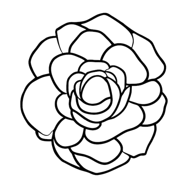 Ilustración simple de flores dibujada a mano