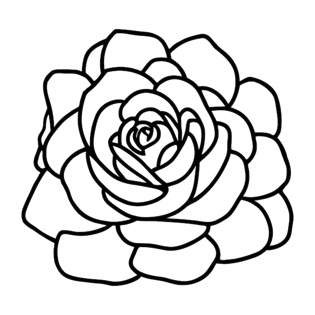 Ilustración simple de flores dibujada a mano