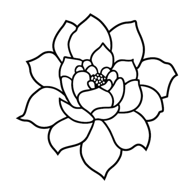 Ilustración simple de flores dibujada a mano
