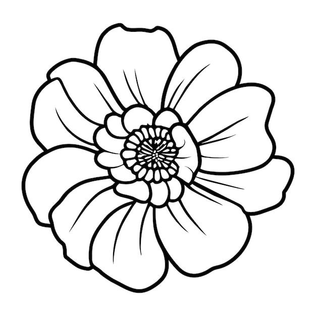 Ilustración simple de flores dibujada a mano