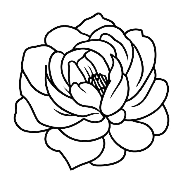 Ilustración simple de flores dibujada a mano