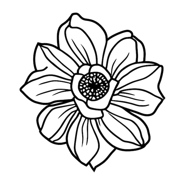 Ilustración simple de flores dibujada a mano