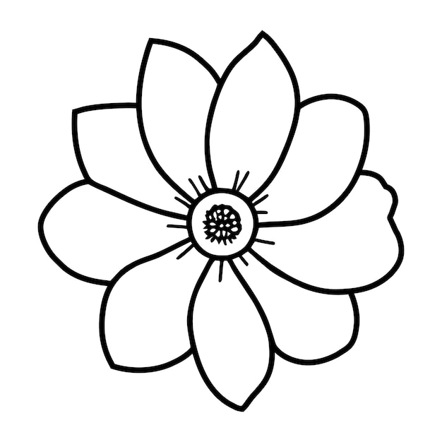 Ilustración simple de flores dibujada a mano