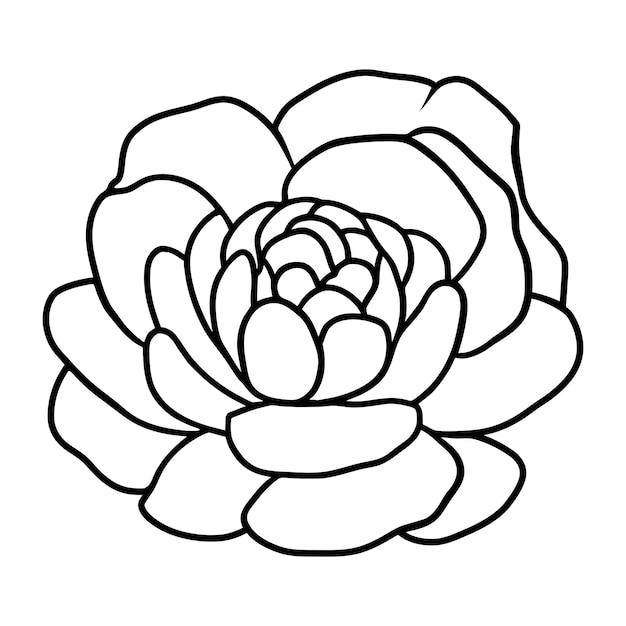 Ilustración simple de flores dibujada a mano
