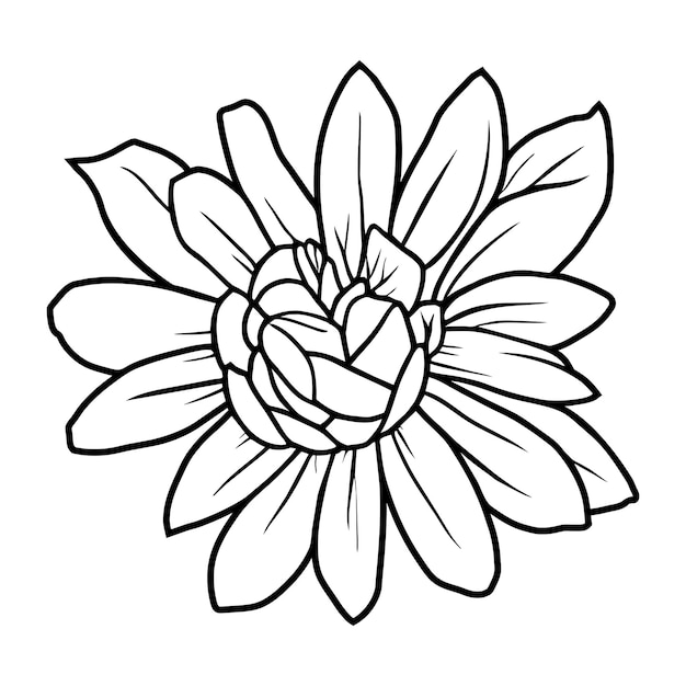 Ilustración simple de flores dibujada a mano