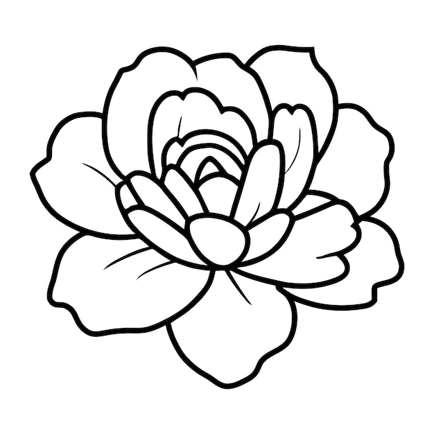 Ilustración simple de flores dibujada a mano