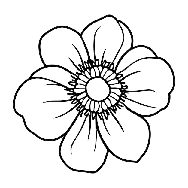 Ilustración simple de flores dibujada a mano
