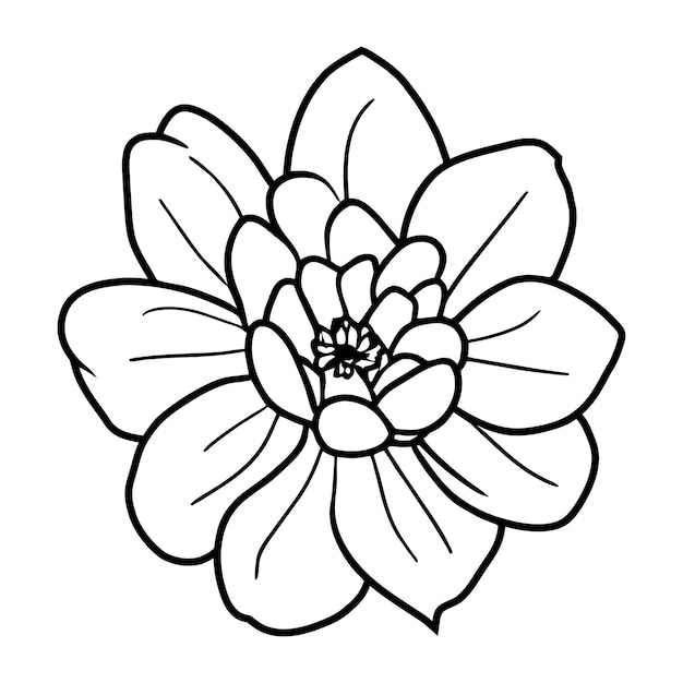 Ilustración simple de flores dibujada a mano
