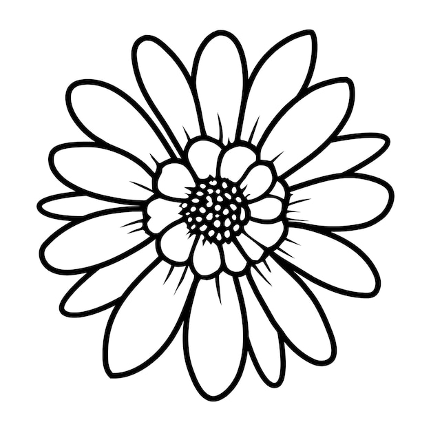 Ilustración simple de flores dibujada a mano