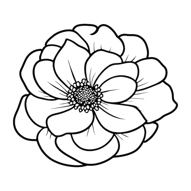 Ilustración simple de flores dibujada a mano