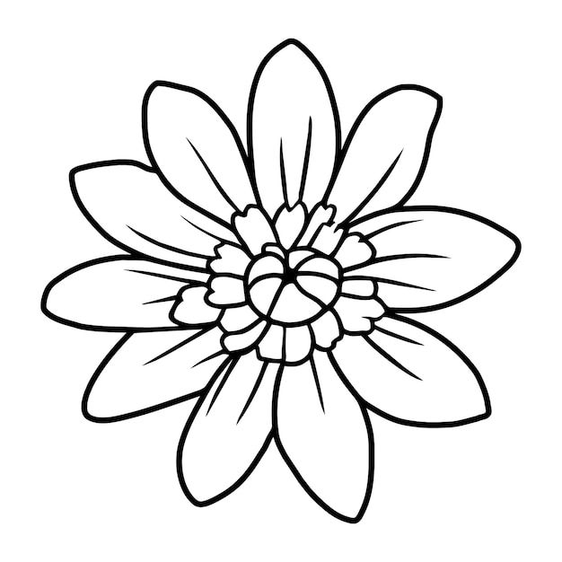 Ilustración simple de flores dibujada a mano