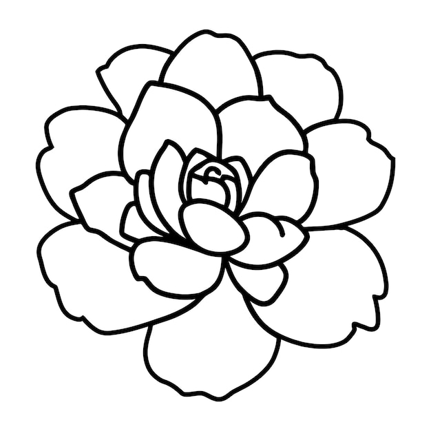 Ilustración simple de flores dibujada a mano
