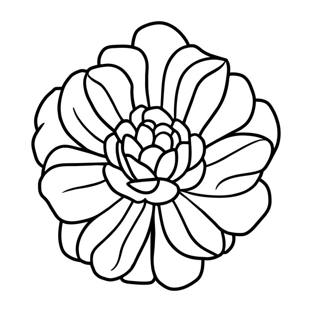 Ilustración simple de flores dibujada a mano